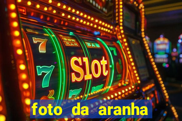 foto da aranha mais feia do mundo